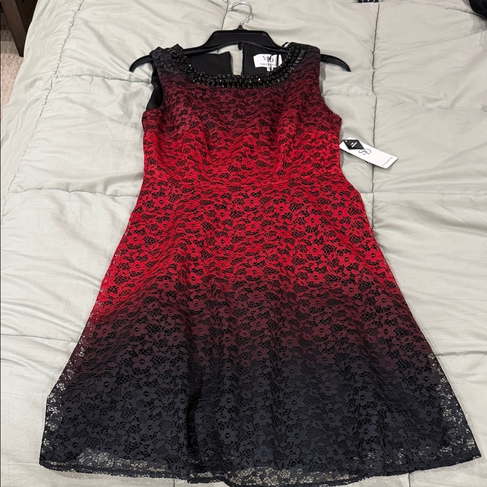 SD Collection Scarlet and Ebony Lace Midi Dress